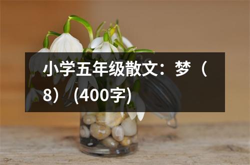小學(xué)五年級(jí)散文：夢(mèng)（8） (400字)