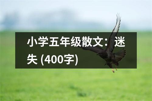 小學(xué)五年級散文：迷失 (400字)