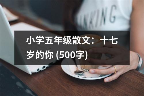小學(xué)五年級(jí)散文：十七歲的你 (500字)