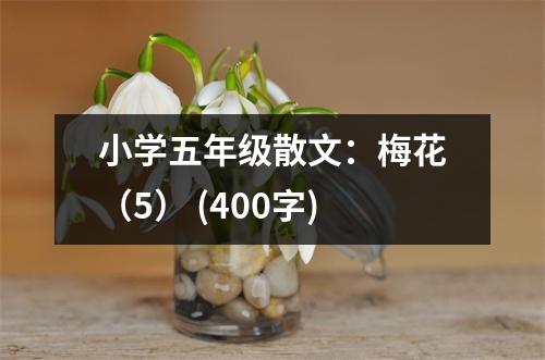 小學(xué)五年級(jí)散文：梅花（5） (400字)