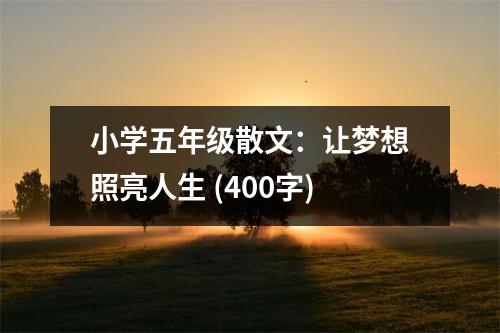 小學五年級散文：讓夢想照亮人生 (400字)