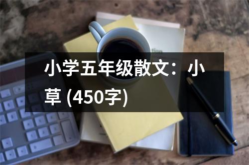 小學(xué)五年級(jí)散文：小草 (450字)