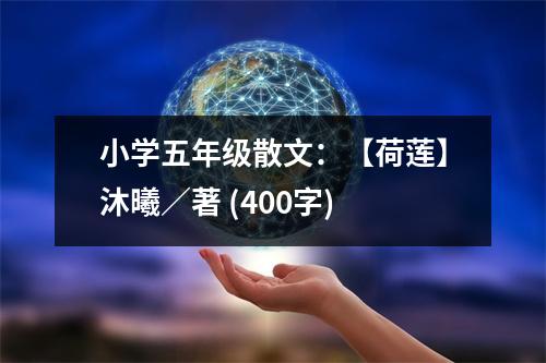 小學(xué)五年級(jí)散文：【荷蓮】沐曦／著 (400字)