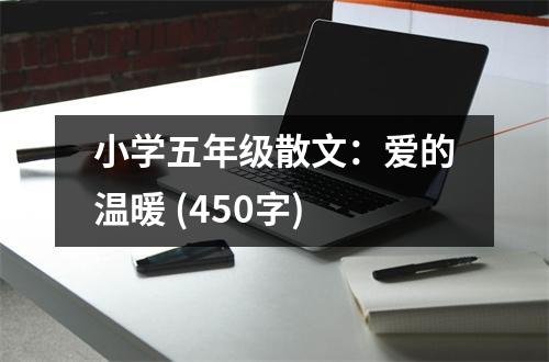 小學(xué)五年級散文：愛的溫暖 (450字)
