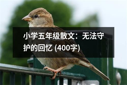 小學(xué)五年級散文：無法守護的回憶 (400字)