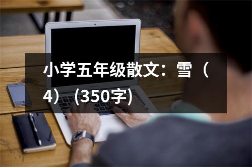 小學(xué)五年級(jí)散文：雪（4） (350字)
