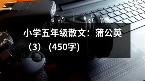 小學五年級散文：蒲公英（3） (450字)