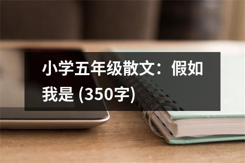 小學五年級散文：假如我是 (350字)