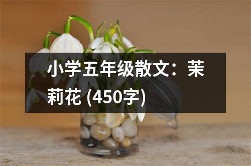 小學(xué)五年級散文：茉莉花 (450字)