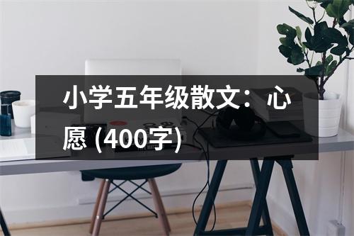 小學(xué)五年級(jí)散文：心愿 (400字)
