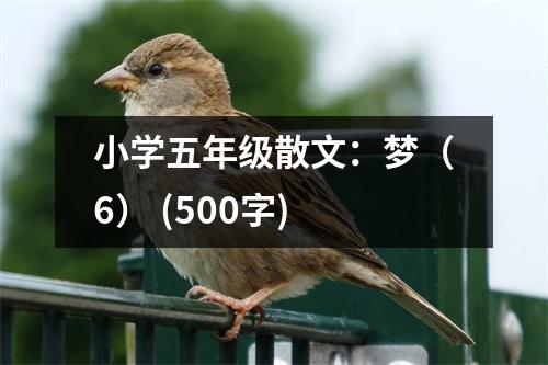 小學(xué)五年級散文：夢（6） (500字)