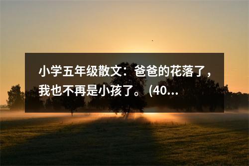 小學(xué)五年級散文：爸爸的花落了，我也不再是小孩了。 (400字)