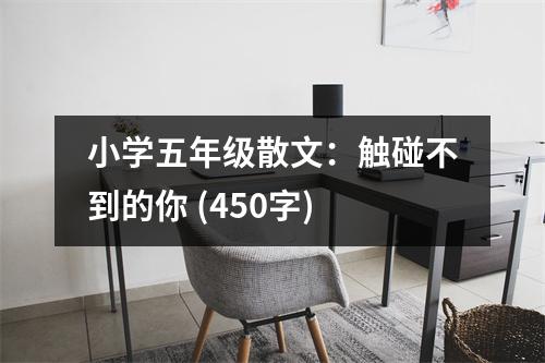 小學(xué)五年級散文：觸碰不到的你 (450字)