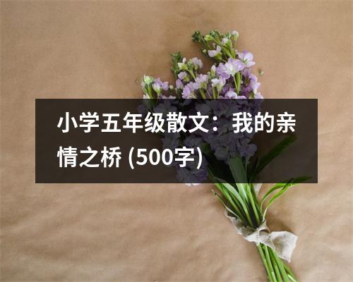 小學五年級散文：我的親情之橋 (500字)
