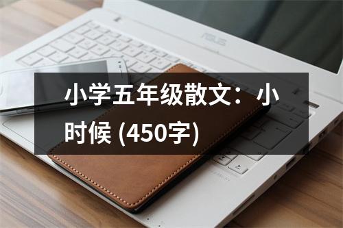 小學(xué)五年級(jí)散文：小時(shí)候 (450字)