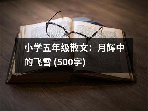 小學(xué)五年級散文：月輝中的飛雪 (500字)