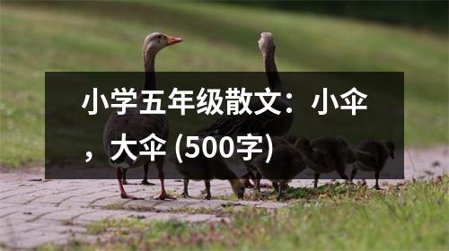 小學(xué)五年級(jí)散文：小傘，大傘 (500字)