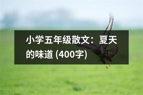 小學(xué)五年級散文：夏天的味道 (400字)