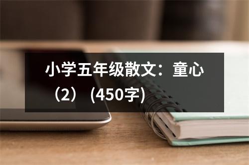 小學(xué)五年級散文：童心（2） (450字)