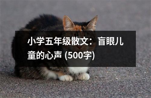 小學五年級散文：盲眼兒童的心聲 (500字)