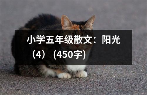 小學(xué)五年級(jí)散文：陽光（4） (450字)