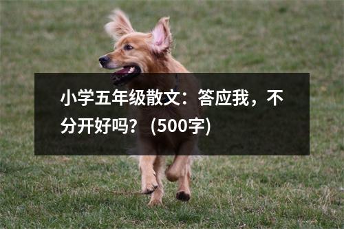 小學(xué)五年級(jí)散文：答應(yīng)我，不分開好嗎？ (500字)
