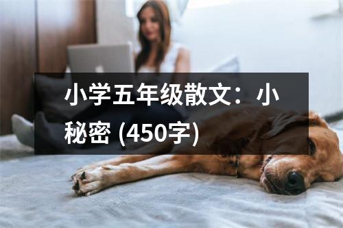 小學(xué)五年級(jí)散文：小秘密 (450字)