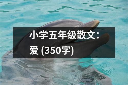 小學(xué)五年級(jí)散文：愛 (350字)
