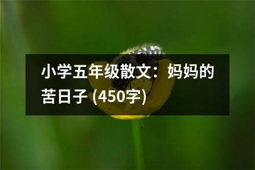 小學(xué)五年級(jí)散文：媽媽的苦日子 (450字)