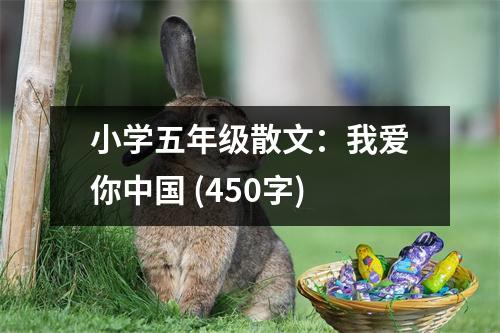 小學(xué)五年級(jí)散文：我愛你中國 (450字)