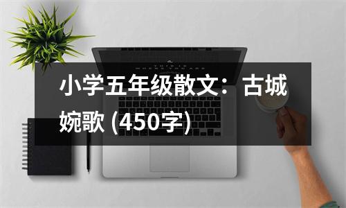 小學(xué)五年級(jí)散文：古城婉歌 (450字)