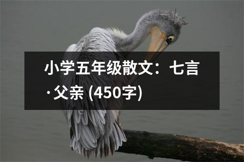 小學五年級散文：七言·父親 (450字)