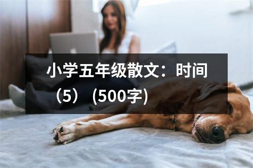 小學(xué)五年級散文：時(shí)間（5） (500字)