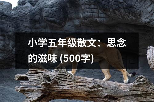 小學(xué)五年級散文：思念的滋味 (500字)