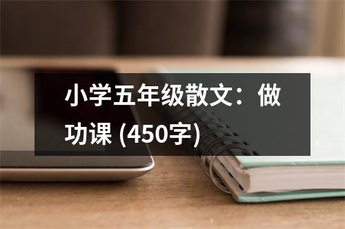 小學(xué)五年級(jí)散文：做功課 (450字)