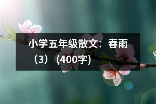 小學(xué)五年級散文：春雨（3） (400字)