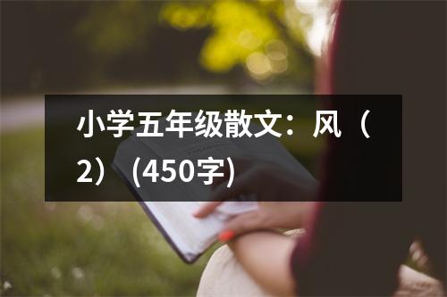 小學(xué)五年級散文：風(fēng)（2） (450字)