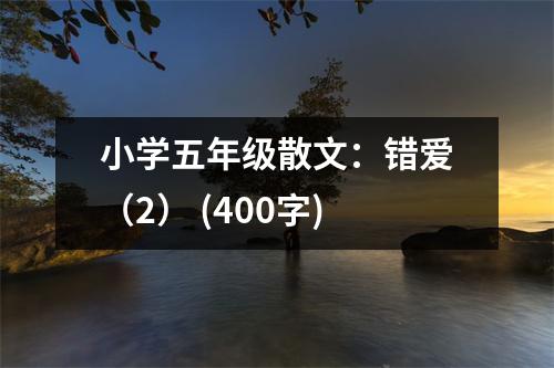小學(xué)五年級(jí)散文：錯(cuò)愛(ài)（2） (400字)