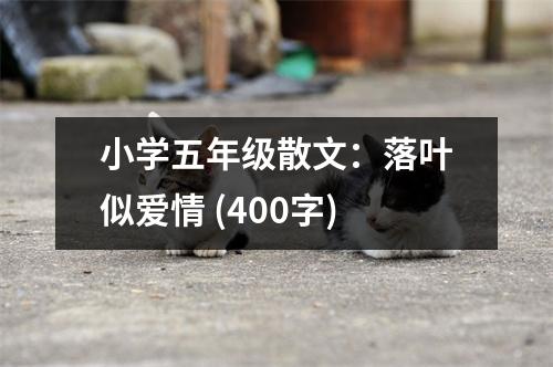 小學(xué)五年級散文：落葉似愛情 (400字)