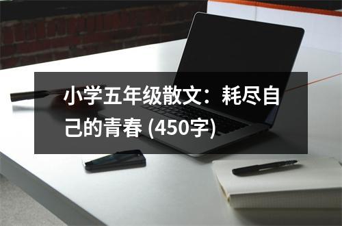 小學(xué)五年級(jí)散文：耗盡自己的青春 (450字)