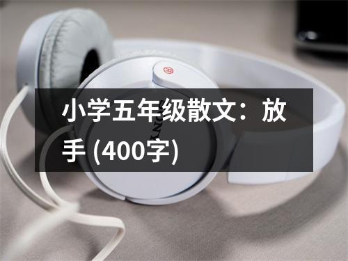 小學(xué)五年級(jí)散文：放手 (400字)