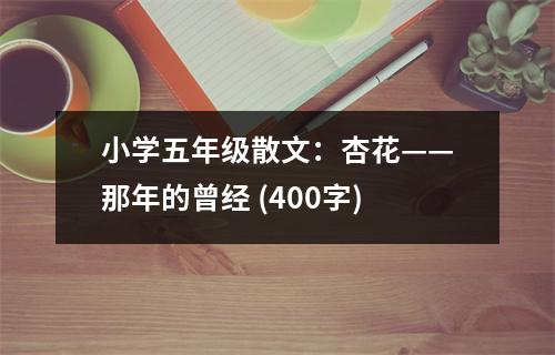 小學(xué)五年級散文：杏花——那年的曾經(jīng) (400字)