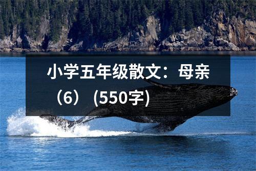 小學(xué)五年級(jí)散文：母親（6） (550字)