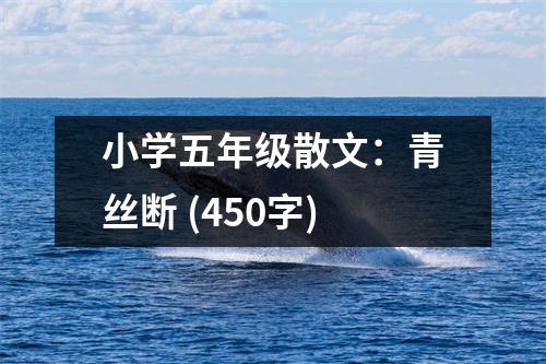 小學五年級散文：青絲斷 (450字)