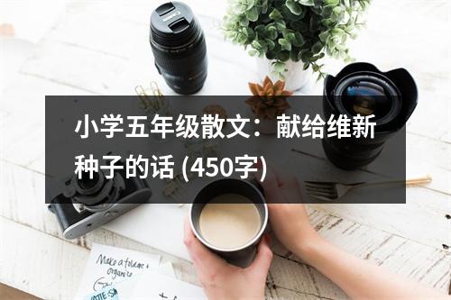 小學五年級散文：獻給維新種子的話 (450字)