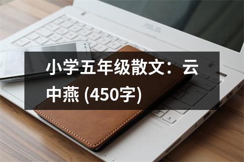 小學(xué)五年級(jí)散文：云中燕 (450字)