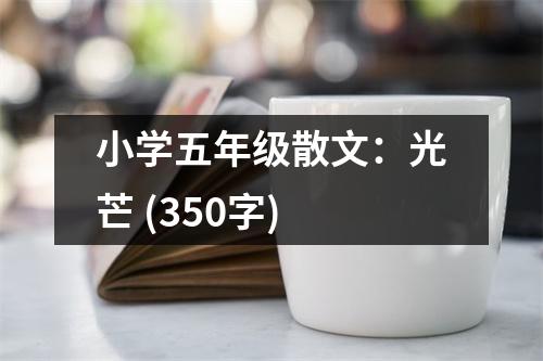 小學(xué)五年級散文：光芒 (350字)