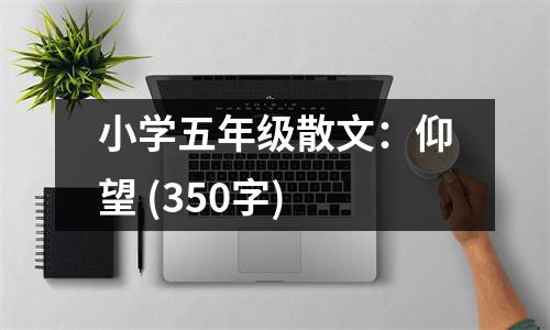 小學(xué)五年級(jí)散文：仰望 (350字)