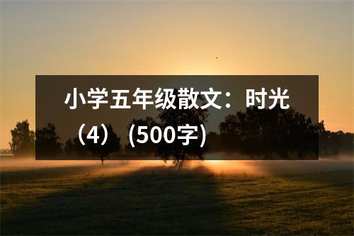 小學(xué)五年級(jí)散文：時(shí)光（4） (500字)