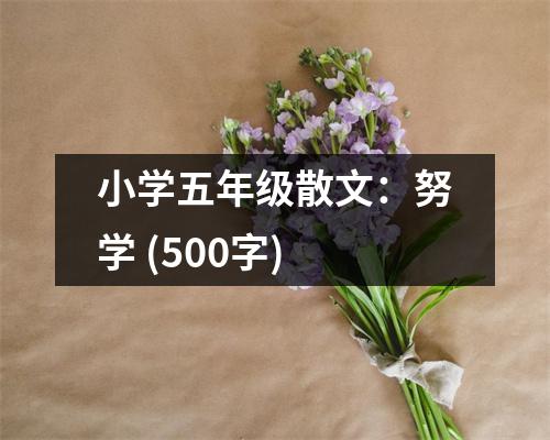 小學(xué)五年級(jí)散文：努學(xué) (500字)